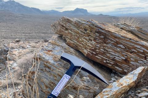 Copper probe drives open pit play for American West