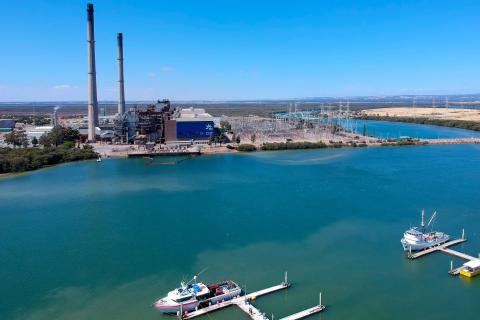 Billionaire takes AGL stake ahead of vote