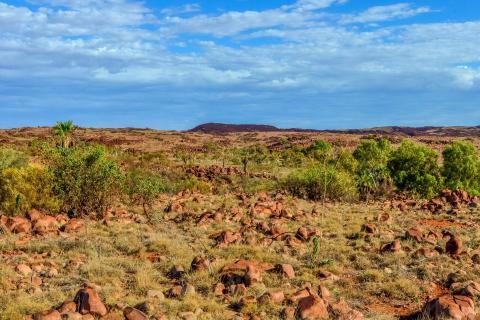 COVID catches up to explorers