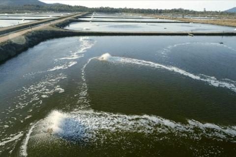 Seafarms boss ousted