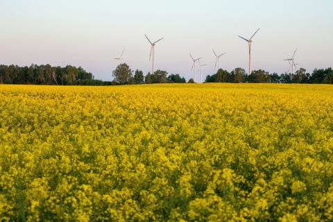 Climate action missing from campaign