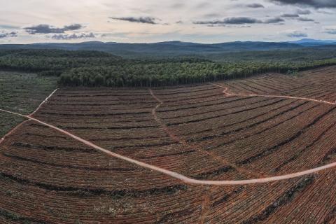 ABx uncovers more high-value Tasmania rare earth elements