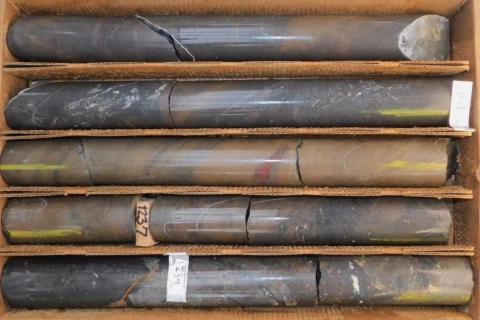 US battery metals assay results spark rush on American West shares