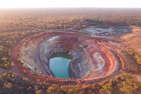 Widgie touts new nickel find