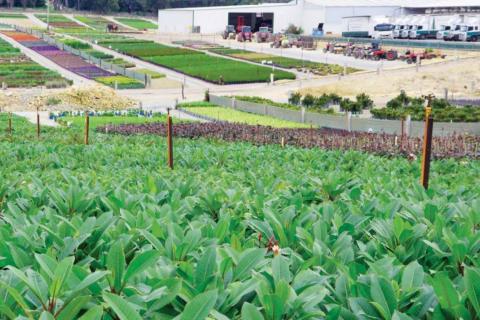 Govt modifies water plan