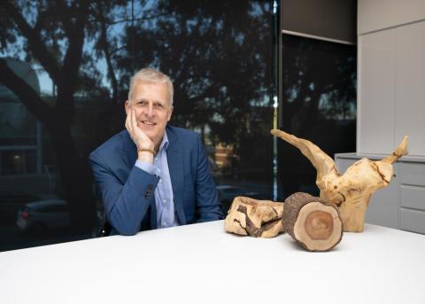 Quintis back as forest developer