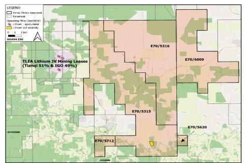 IGO snares stake in Venus, eyes lithium JV project