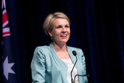 Plibersek promises change amid 'grim' report