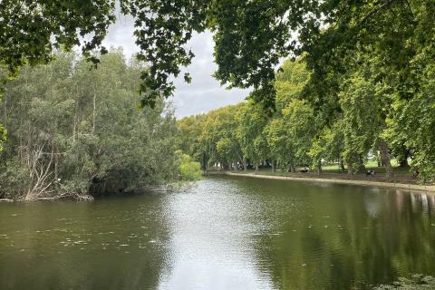 Vendor loses bid to stay in Hyde Park