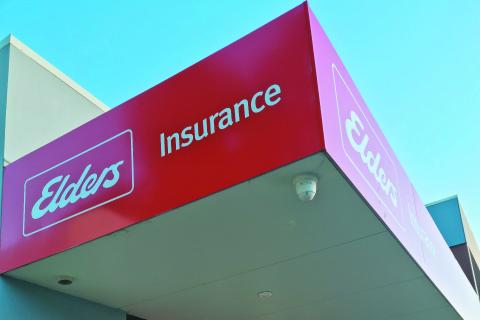 Maybe not booming, but bush is back