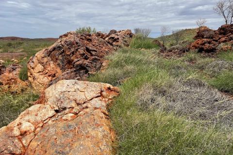 Aruma scours old grounds around Paulsens gold mine