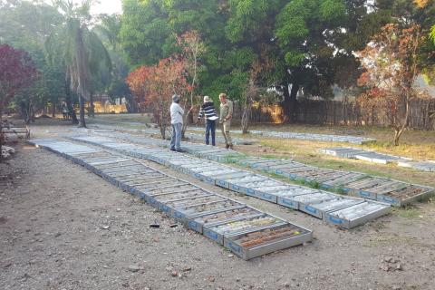 AVZ uncovers more lithium ahead of resource update