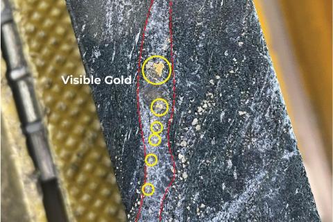 Turnberry gives up more high-grade visible gold for Meeka