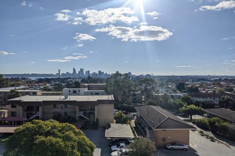 Swan gets fair cut of pork