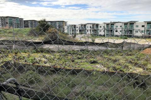 Government now wants Goldmaster gone