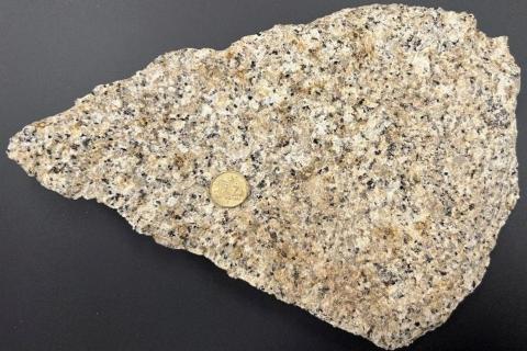 Goldfields samples light up rare earths for Venus