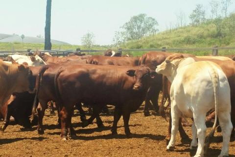 Vigilance required at the border