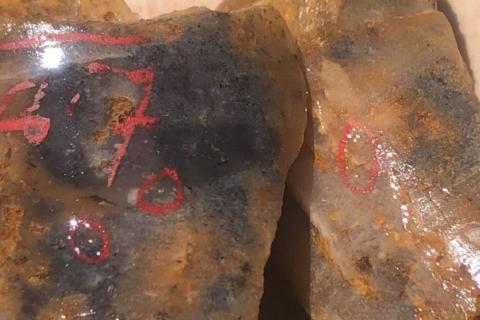 Panther scores more bonanza hits in WA gold chase