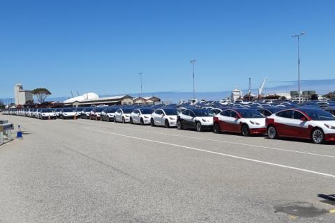 More Teslas on the road in WA