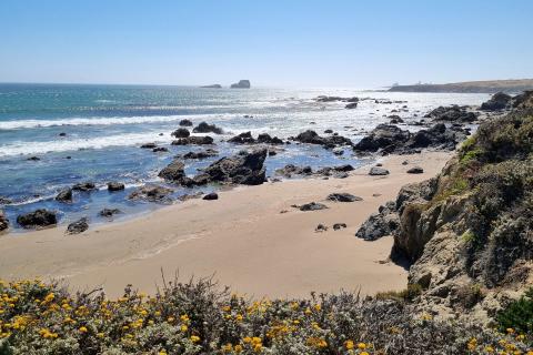 Hearst Castle stokes WA vision