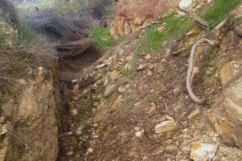 Askari pulls ounce to the tonne gold sample from old workings