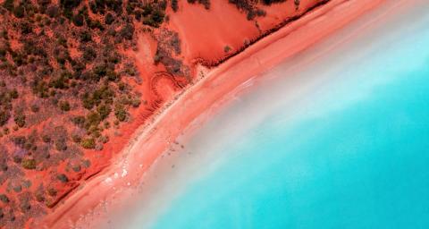 Why directors need to take their ESG obligations seriously