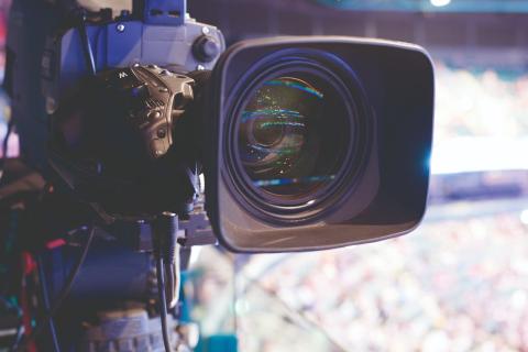 Symbiotic story of a tail and its dog