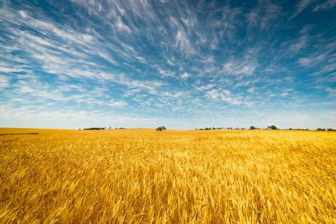 East versus west, a story of demand