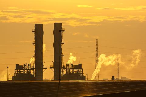 Triangle, Pilot boost WA carbon storage capabilities