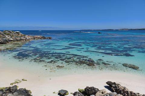 Rotto visa change, so far but so near