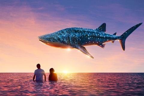 Let’s talk about the future: Making the tourism dream a reality