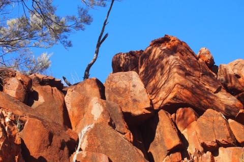 Juukan owners 'angry' with govt response