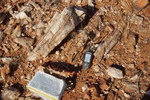 White Cliff closes in on rare earths after WA survey