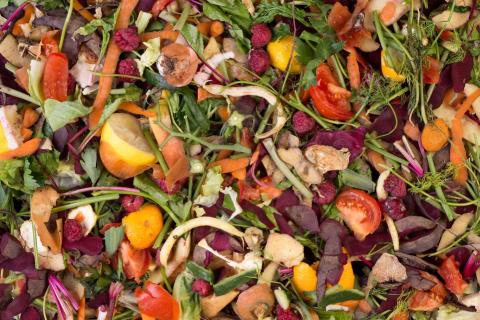 What Does Waste Have To Do With Climate Science?