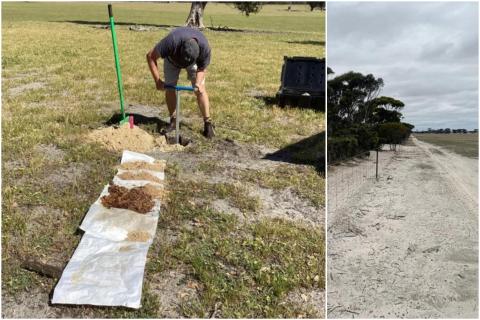 High purity samples buoy Allup Silica in southern WA