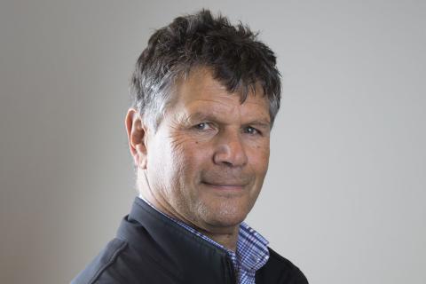 Board roles for Morton, Weatherill, Walley