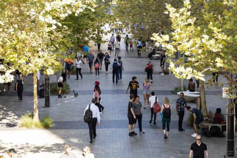 Jobs market still super hot