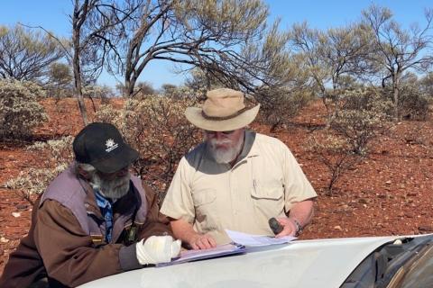 White Cliff confirms WA rare earths discovery