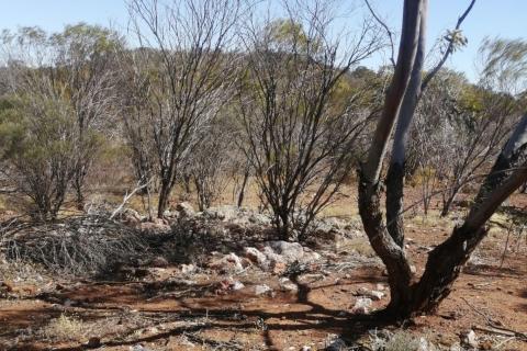 Surefire adds rare earths and kaolin to iron project