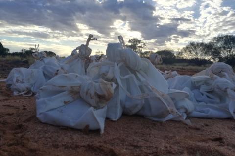 Panther powers ahead on positive nickel tests from WA project