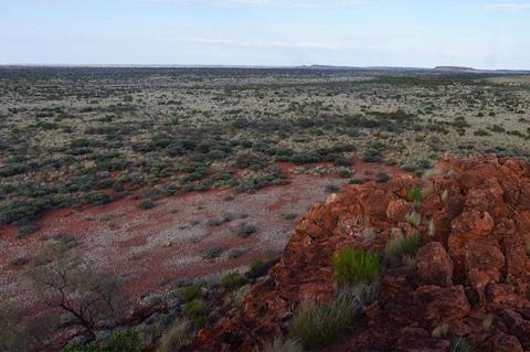 Norwest shares jump after drill results