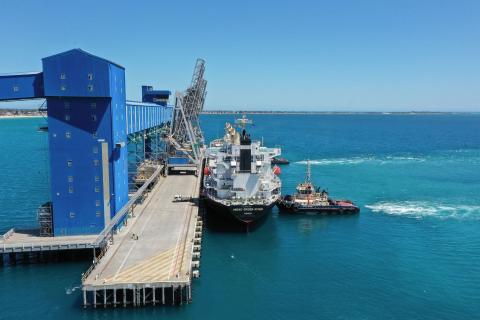 Runs on the board, food on the table