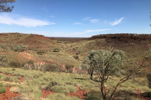 DiscovEx lights up target in Pilbara gold hunt