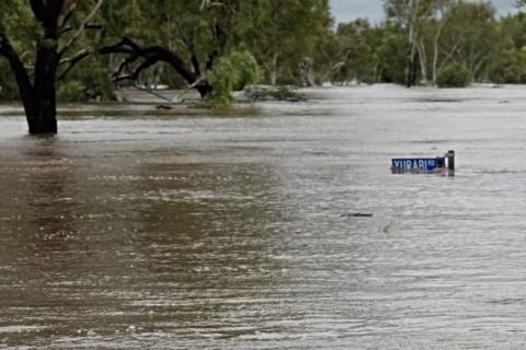 Georgiou, BMD to construct Fitzroy bridge