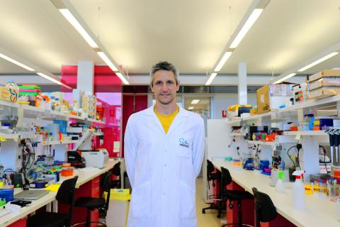 Why corporations are asked for help