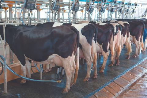 Food for thought as India rises