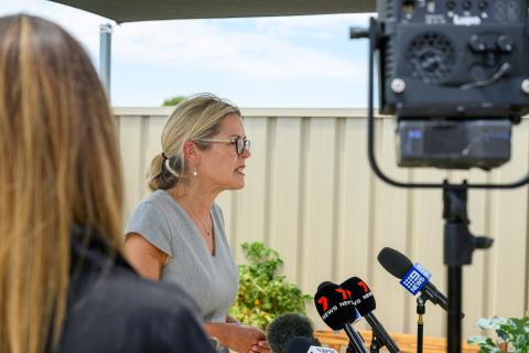 Liberals seek clean bill with Mettam