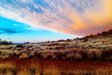 Javelin confirms anomalous rare earths at Goldfields project