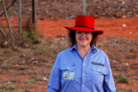 Hancock sells four cattle stations