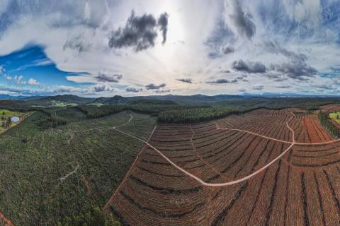 Tasmanian rare earths bounty scales new heights for ABx